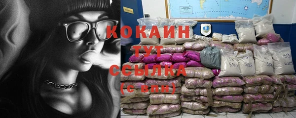 apvp Арсеньев