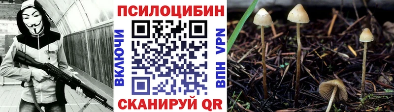 Галлюциногенные грибы Psilocybe  Углич 
